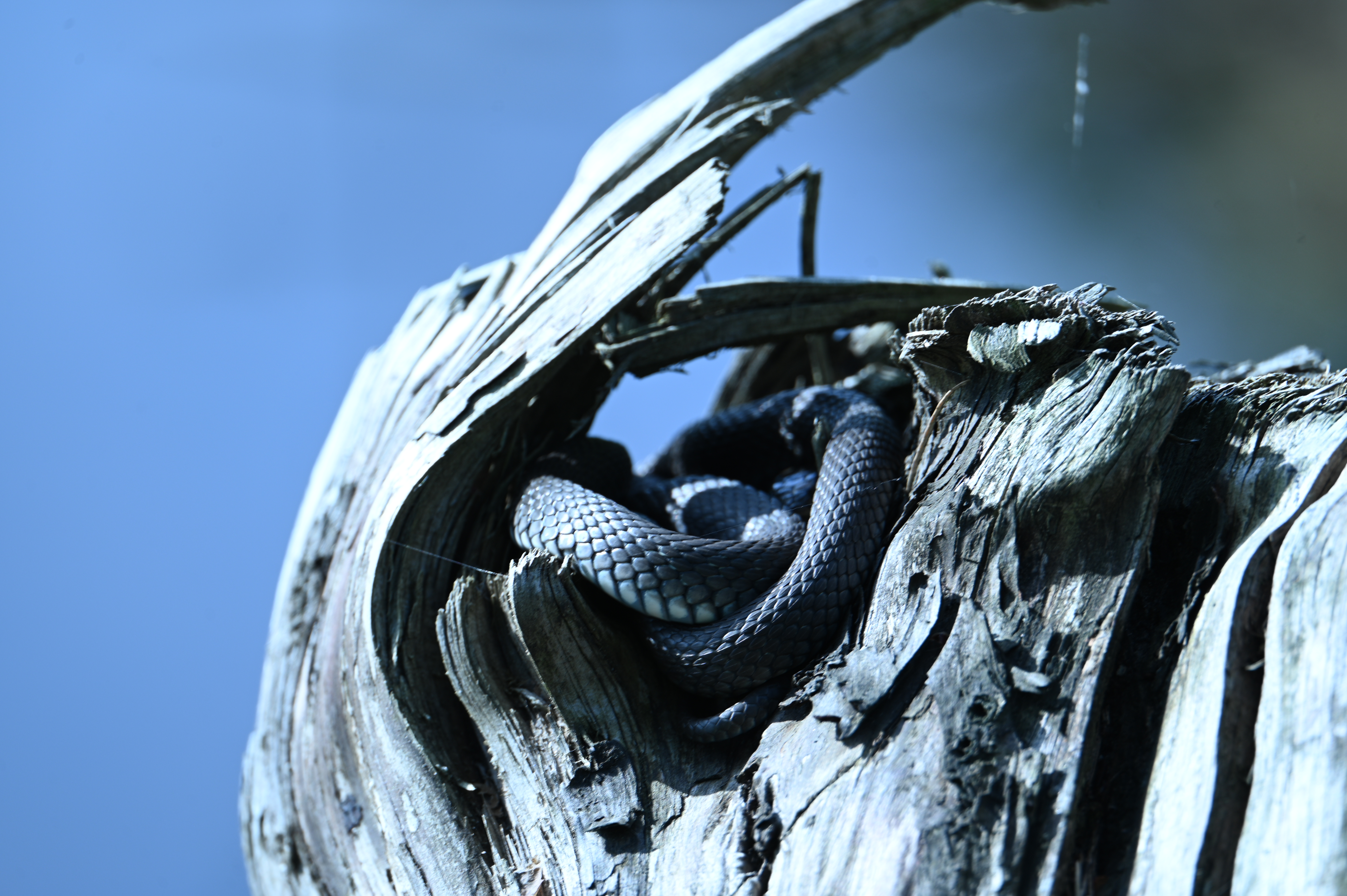 2025/07/09-14 - trip/DSC_0492.JPG